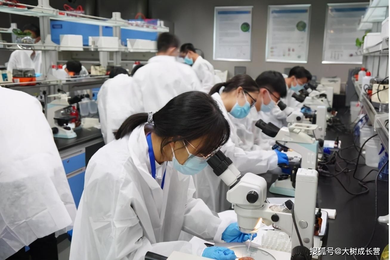 高考倒计时200天!南科大举办优秀中学生体验营,一路向南到深圳